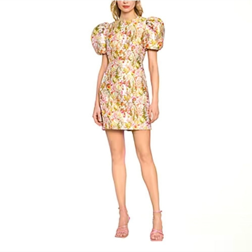 Clover and Sloane Women’s Sheath Dress with Puff Sleeves